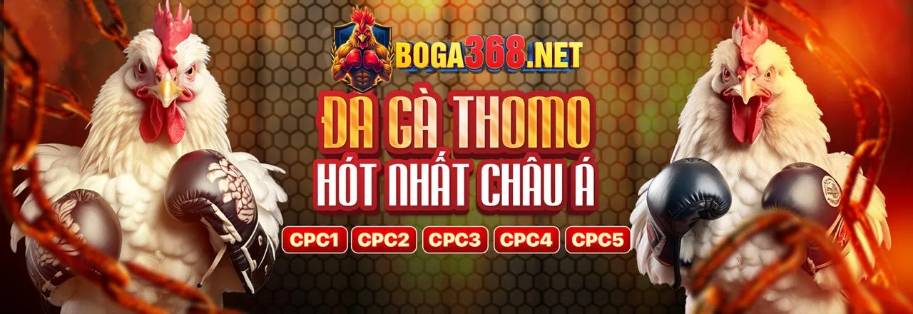 Đá Gà Trực Tuyến sss666